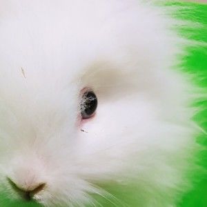 Meet your Posher, Malithi